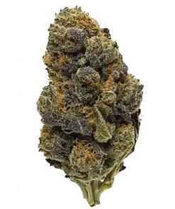 Thin Mint GSC, tatlı nane aroması ve yüksek THC içeriğiyle bilinen dengeli bir hibrit türdür. Öfori ve rahatlama etkileri için hemen keşfedin.