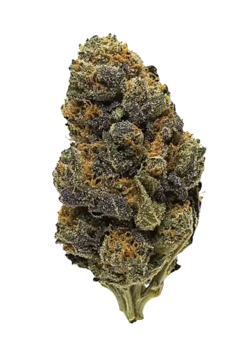 Thin Mint GSC, tatlı nane aroması ve yüksek THC içeriğiyle bilinen dengeli bir hibrit türdür. Öfori ve rahatlama etkileri için hemen keşfedin.