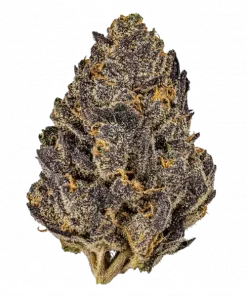 Thin Mint x Sour Pinot Auto, nane ve benzin kokusuyla öne çıkan Sativa baskın bir türdür. THC ile yüksek verim sunar. Etkilerini keşfedin.