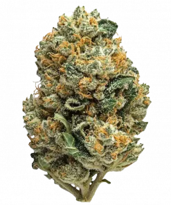 Tie Die, tatlı meyvemsi aroması ve THC oranıyla öne çıkan Indica baskın bir türdür. Yaratıcılığı tetikleyen ve rahatlatan etkilerini keşfedin.