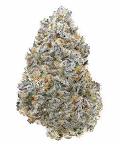 Tiger Paw, tatlı ve kremsi aromasıyla öne çıkan Indica baskın bir türdür. Yüksek THC içeriğiyle yaratıcılığı artırır, rahatlatır. Etkilerini keşfedin.