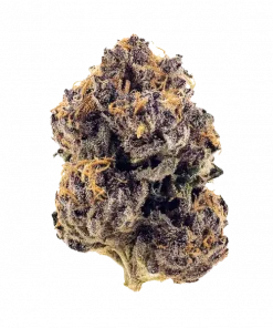 Tiki Rum Cake, ananas ve vanilya aromalarıyla öne çıkan dengeli bir hibrit türdür. Yüksek THC içeriğiyle yaratıcılığınızı artırın ve iştahınızı kabartın. Keşfedin.