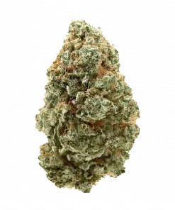 Time Ztone, baskın meyve aromaları ve THC içeriğiyle öne çıkan Indica dominant bir türdür. Ağrı ve stresi azaltan bu özel türü keşfedin.