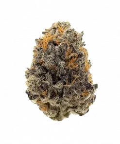 Tina, kahve ve yakıtımsı notalarıyla öne çıkan Indica baskın bir türdür. Yüksek THC içeriğiyle yoğun rahatlama sağlar. Genetik yapısını keşfedin.