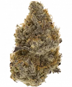 Tiny Toonz, meyvemsi ve yakıtımsı aromalarıyla öne çıkan Indica baskın bir türdür. Yoğun rahatlama ve uyku hali için ideal. Genetik yapısını keşfedin.