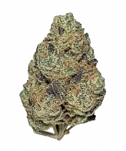 Tiramisu, çikolata aromaları ve yüksek THC içeriğiyle öne çıkan Indica baskın bir türdür. Tatlı ve kremsi yapısıyla eşsiz bir deneyim sunar. Hemen keşfedin.