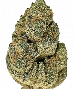 Tire Fire, yakıtımsı aroması ve yüksek THC içeriğiyle bilinen Indica dominant bir türdür. Dosidos ve Hi-Octane genetiğini keşfedin ve etkilerini görüntüleyin.