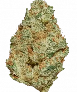 Titty Sprinkles, yakıtımsı ve meyvemsi aromalarıyla bilinen Indica dominant bir türdür. Uyku sorunları için ideal. Etkilerini ve genetik yapısını keşfedin.