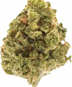 TK91, kremsi ve baharatlı aromaları ile öne çıkan Indica dominant bir türdür. Dengeli etkileriyle rahatlama sağlar. Bu eşsiz türü keşfedin.