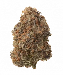 TMZ F2, tatlı meyve ve yakıtımsı aromalarıyla öne çıkan dengeli bir türdür. Yaratıcılığı artıran yapısıyla ideal bir seçim. Özelliklerini keşfedin.