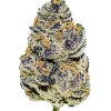 Toad Venom, yakıtımsı ve şeftali aromalarıyla öne çıkan, dengeli bir hibrit türdür. THC ile rahatlatıcı etkilerini keşfedin ve hemen görüntüleyin.