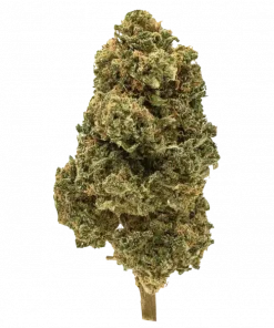 Toasted Strudel, kimyasal limon aroması notalarıyla öne çıkan sativa baskın bir türdür. Enerji veren yapısıyla dikkat çeken bu türü keşfedin.