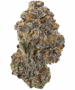 Tokyo Gumdrop, tatlı aromaları ve 'e varan THC içeriğiyle öne çıkan dengeli bir türdür. Yaratıcılığı tetikleyen bu türü keşfedin.