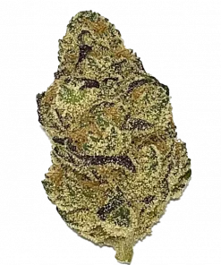 Tokyo Snow, keskin nane ve üzüm aromalarıyla öne çıkan dengeli bir hibrit türdür. THC içeriğiyle rahatlatıcı etkilerini keşfedin. Daha fazlasını görüntüleyin.