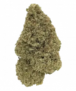 Too Much Dulce, tatlı üzüm aroması ve dengeli etkisiyle öne çıkan bir hibrit türdür. Stresi azaltan ve rahatlatan bu özel türü keşfedin.