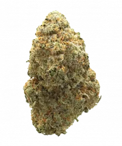 Too Much Melon, kavun aromaları ve yüksek reçine oranıyla öne çıkan Indica baskın bir türdür. Yaratıcılığı tetikleyen genetik yapısını keşfedin ve hemen görüntüleyin.