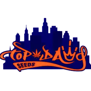 Top Dawg Seeds