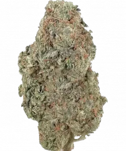 Top Drops, tatlı portakal ve çilek aromalarıyla öne çıkan dengeli bir hibrit türdür. Yüksek reçine üretimi ve rahatlatıcı etkileriyle keşfedin.