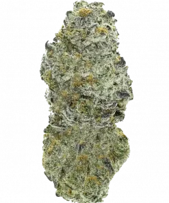 Torta Pounder, yakıtımsı ve şekerli aromasıyla bilinen güçlü bir hibrit türdür. Rahatlatıcı etkileriyle öne çıkan bu türü keşfedin ve deneyimleyin.