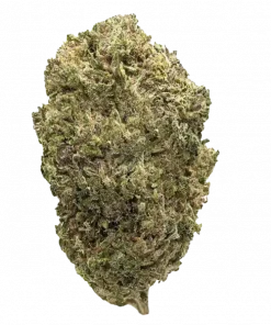 Tres Dawg, sert benzin kokusu ve yüksek THC içeriğiyle bilinen baskın bir Indica türüdür. Derin rahatlama ve öfori için genetik yapısını keşfedin.