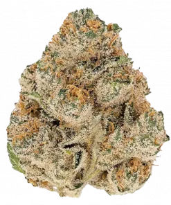 Tres Leches, tatlı narenciye aroması ve yüksek THC içeriğiyle bilinen Sativa baskın bir türdür. Enerjik etkilerini ve genetik yapısını keşfedin.