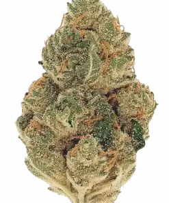 Triangle Kush, sert yakıtımsı aroması ve yüksek Indica etkisiyle bilinen seçkin bir türdür. Derin rahatlama ve mutluluk için bu eşsiz deneyimi keşfedin.