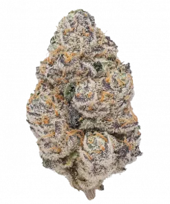 Trich’d Out Truffles, tatlı çilek aroması ve yüksek THC içeriğiyle öne çıkan Indica baskın bir türdür. Spazm ve ağrıları hafifletici etkilerini keşfedin.