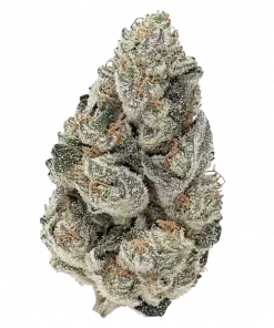 Trichael Myers, çilek aromalı, yüksek THC'li bir Indica türüdür. Mutluluk ve rahatlama sağlar. Bu eşsiz türün genetik yapısını keşfedin.