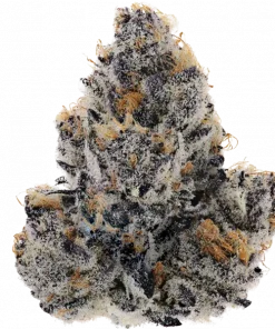 Tricho Jordan, çam ve çilek aromalı, THC içeren dengeli bir hibrit türdür. Yaratıcılığı artıran bu türün genetik yapısını keşfedin ve etkilerini görüntüleyin.