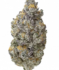 Triple G, sert yakıtımsı aroması ve enerji verici etkileriyle öne çıkan Indica baskın bir türdür. Yüksek verimli bu türün genetik yapısını keşfedin.