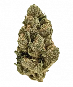 Triple Scoop, vanilya ve narenciye aromalarıyla öne çıkan indica baskın bir türdür. Rahatlatıcı etkileriyle bilinen bu eşsiz türü keşfedin.