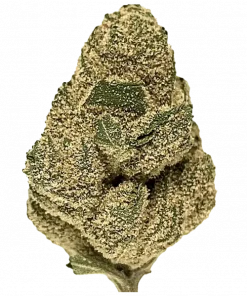 Trix, tatlı çilek aroması ve enerji veren etkisiyle bilinen Sativa baskın bir türdür. Yüksek THC içeriğiyle öne çıkar. Benzersiz özelliklerini keşfedin.