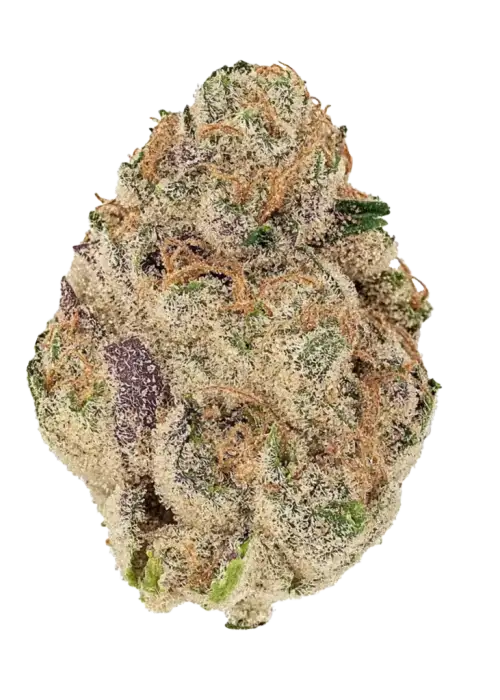 Trop Cherry, kiraz aroması ve enerji verici Sativa etkileriyle öne çıkan eşsiz bir türdür. Relentless Genetics imzalı bu özel türü keşfedin.