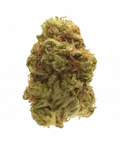 Tropaya, tropikal meyve aromaları ve rahatlatıcı etkisiyle öne çıkan Indica baskın bir türdür. Depresyon ve migren tedavisinde potansiyelini keşfedin. Görüntüleyin.