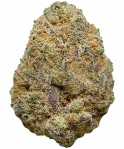 Trophy Wife, kimyasal limon aroması ve rahatlatıcı etkisiyle öne çıkan dengeli bir hibrit türdür. Yüksek CBC içeriğiyle dikkat çeken bu türü keşfedin.