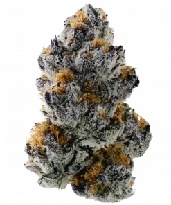 Tropical Fuel, yakıtımsı ve tropikal aromalarıyla öne çıkan indica baskın bir türdür. Yüksek verimi ve rahatlatıcı etkileriyle keşfedin.