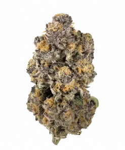 Tropical Fusion, egzotik ananas aroması ve rahatlatıcı etkileriyle bilinen Indica dominant bir türdür. Kolay yetiştirme özelliklerini keşfedin ve detaylı inceleyin.