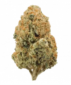 Lit Farms Tropical Gelato, ananas aromalı, yüksek THC'li indica dominant bir türdür. Tatlı ve tropikal lezzetini keşfedin ve rahatlatıcı etkilerini görüntüleyin.