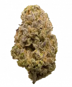 Tropikal Marker, tatlı meyve aromaları ve rahatlatıcı etkileriyle bilinen Indica baskın bir türdür. Uykusuzluk ve stres için ideal. Özelliklerini keşfedin.