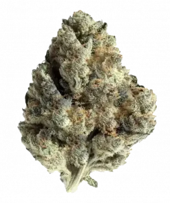 Tropical Runtz, tatlı şekerleme aroması ve -24 THC içeriğiyle öne çıkan bir Indica dominant türdür. Yaratıcılığı tetikleyen bu özel türü keşfedin.
