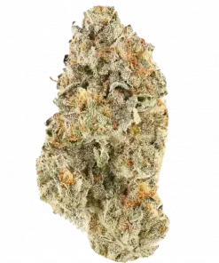 Tropical Tangie, mandalina aroması ve enerji verici etkisiyle öne çıkan sativa baskın bir türdür. Depresyon ve stresi azaltmaya yardımcı olabilir. Özelliklerini keşfedin.