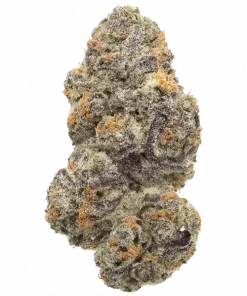 Tropical Twist, tropikal meyve aromaları ve yüksek enerjisiyle öne çıkan bir hibrit türdür. Yaratıcılığı artıran bu özel türün genetik yapısını keşfedin.