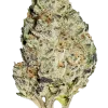 Tropicana Banana, tropikal meyve aromaları ve yüksek THC içeriğiyle öne çıkan Sativa baskın bir türdür. Eşsiz genetik yapısını ve etkilerini hemen keşfedin.