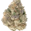 Tropicana Cookies Auto, tropikal aromaları ve THC oranıyla öne çıkan Indica baskın bir türdür. Hızlı çiçeklenme özelliğiyle bu eşsiz türü keşfedin.
