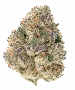 Tropicana Cookies Auto, tropikal aromaları ve THC oranıyla öne çıkan Indica baskın bir türdür. Hızlı çiçeklenme özelliğiyle bu eşsiz türü keşfedin.