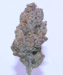 Tropicana Cookies Auto Fem Esrar Tohumu (Fast Buds)