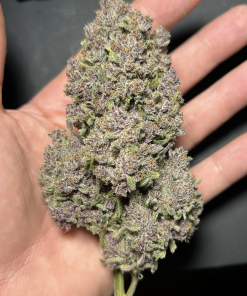 Tropicana Cookies Auto Fem Esrar Tohumu (Fast Buds)