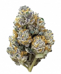 Tropicana Cookies FF, sert yakıtımsı aroması ve THC oranıyla öne çıkan Indica dominant bir türdür. Hızlı çiçeklenme özelliğiyle dikkat çeker. Etkilerini keşfedin.