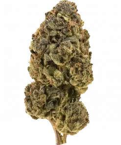 Tropsanto, benzersiz narenciye aroması ve THC içeriğiyle öne çıkan Indica baskın bir türdür. Derin rahatlama ve mutluluk için ideal. Özelliklerini keşfedin.