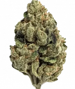 Truffle, tereyağı ve kahve aromalarıyla öne çıkan, Zkittlez ve Cherry Noir genetiğine sahip bir hibrit türdür. Sakinleştirici etkilerini keşfedin.